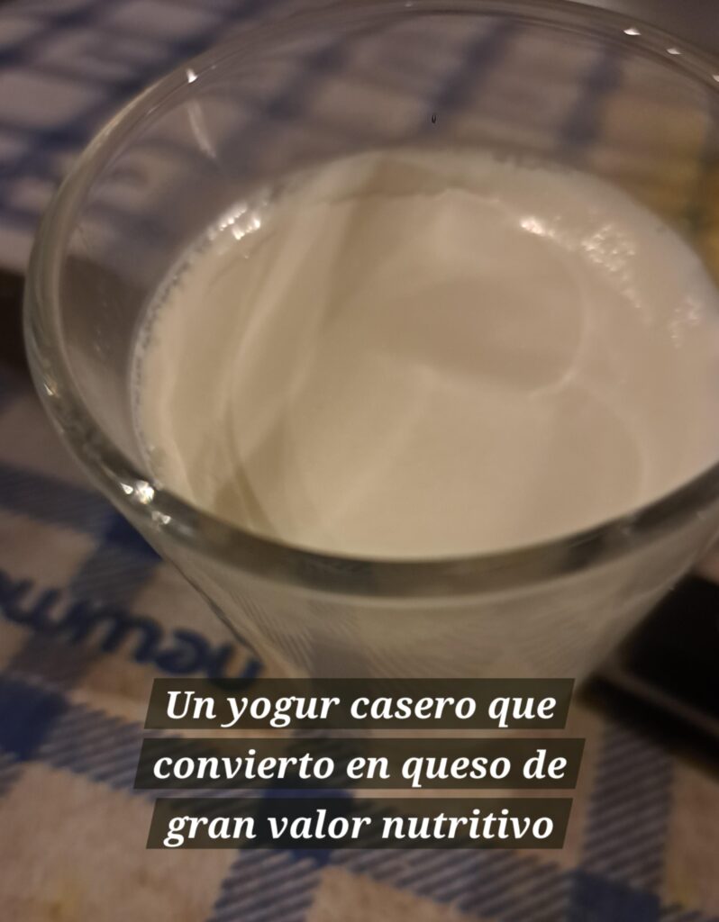 YOGUR CASERO