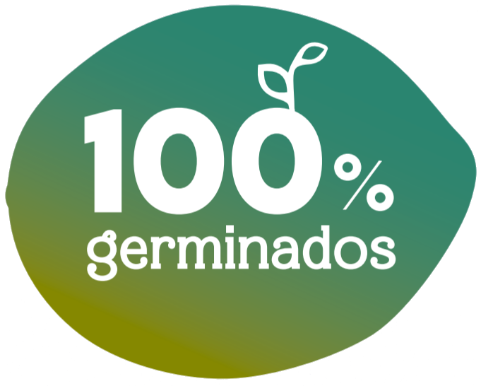 100GERMINADOS