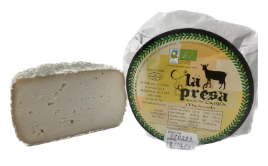 queso de pasta blanda